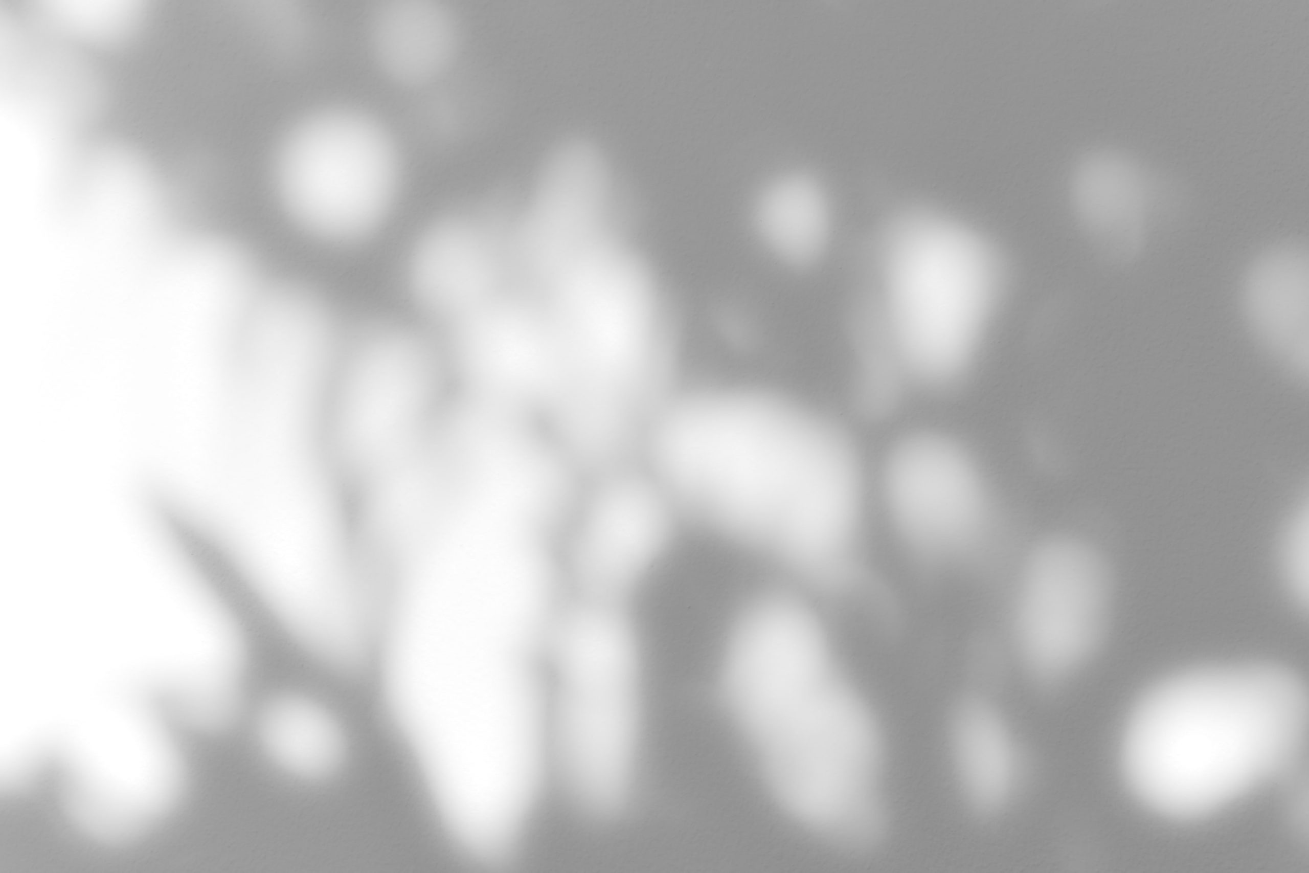 AbstractTreeShadow